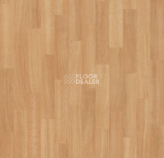 Линолеум Forbo Eternal Wood 11442 washed beech фото 1 | FLOORDEALER